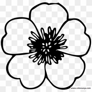 Flower Coloring Pages Png Flores Png Para Colorear - Flower Vector Art Black And White Clipart