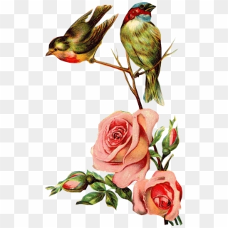 Flores Vintage Png - Bird Vintage Png Clipart