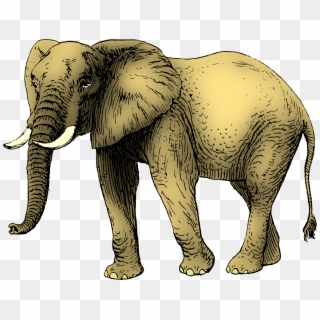 This Free Icons Png Design Of Elephant 9 Clipart