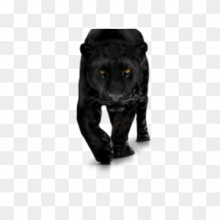 Black Panther 2 Logo Transparent