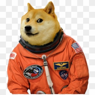 Wow Much Doge Png - Whatsapp Stickers Meme Clipart