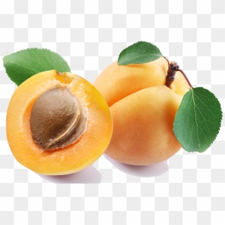 Top 18 Apricot Png Transparent - Apricot Png Clipart