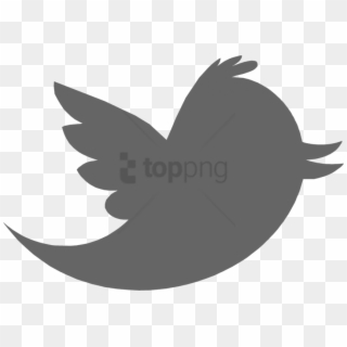 Free Png Download Twitter Logo Gray Png Images Background - Twitter Logo Transparent Grey Clipart