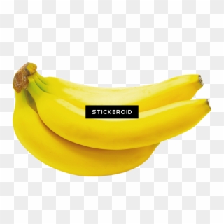 Saba Banana , Png Download Clipart