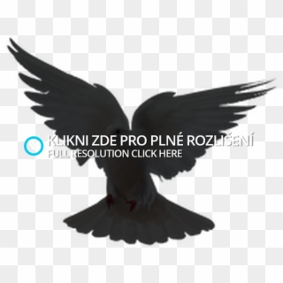 Dove Image Png - Raven Clipart