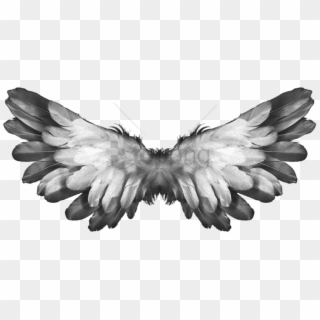 Free Png Angel Wings Feathers Png Image With Transparent - Feathers Wings Clipart