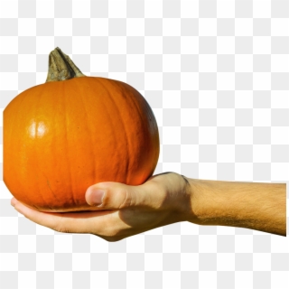 Hand Holding Orange Pumpkin Png Image - Pumpkin Clipart