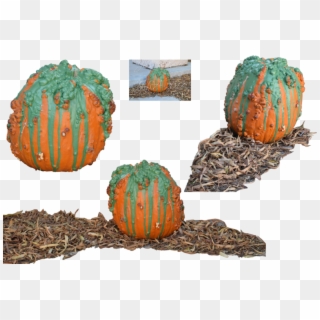 Warty Png Stock By Mom Espeace On - Pumpkin Clipart