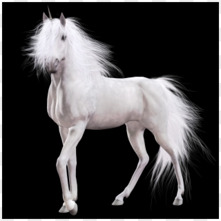 Unicorn Png Images - Stallion Clipart