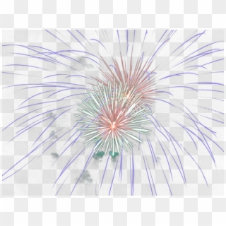 Fireworks Png Transparent Images - Georgia Pine Clipart