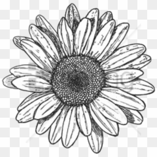 Free Png Sunflower Png Tumblr Png Images Transparent - Flower Drawing Transparent Background Clipart