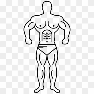 Cyclops Drawing Muscular - Muscle Body Drawing Png Clipart