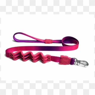 Ruff Leash Clipart