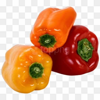 Free Png Bell Pepper Png Images Transparent Clipart