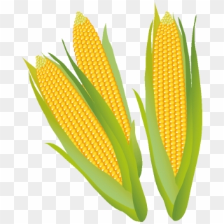 Corn Stalk Clipart - Corn On The Cob - Png Download