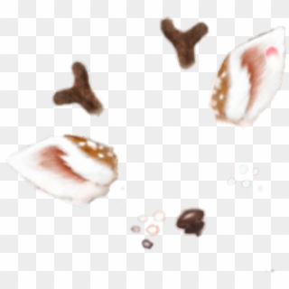 421 X 750 10 - Paw Clipart