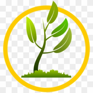 Corn Vector Tree - New Plant Growing Png Clipart