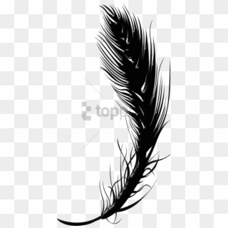 Free Png Black Feather Pen Png Image With Transparent - Illustration Clipart