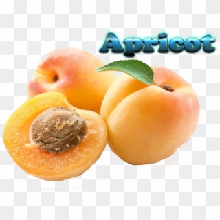 Apricot Fruit In Tamil Clipart