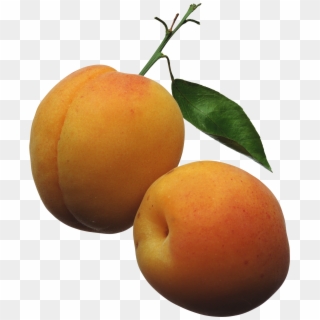 Apricots Png Clipart Picture - Apricots Clipart Transparent Png
