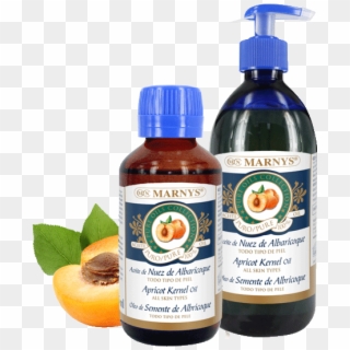 Apricot Kernel Oil - Plastic Bottle Clipart