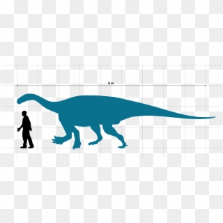 Ledumahadi Size Chart With Human - Dinosaur Clipart