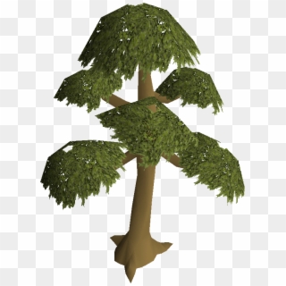Willow Tree Png - Runescape Tree Clipart