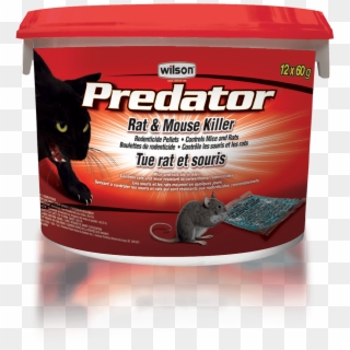 Wilson Predator Rat Mouse Killer Pellets - Rat Clipart