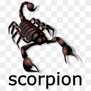 Scorpion Png Image Clipart