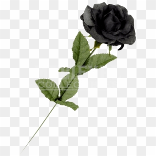 Black Roses Png Clipart