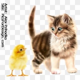 Kitty-chick - Kitten Clipart