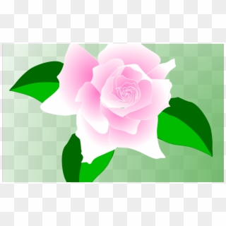 Free Rose Vector, Download Free Clip Art, Free Clip - Png Download