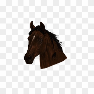 Horse Head Png - Sorrel Clipart