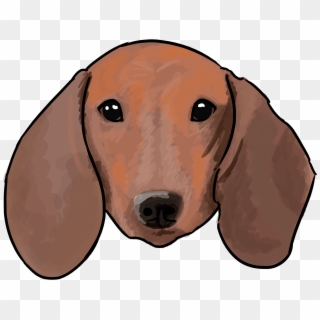 6 Why Are You A Dachshund Clipart