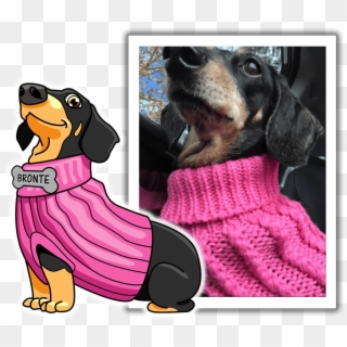 Meet Bronte, One Of Sausagemoji's Favorite Pups Clipart