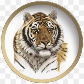 Tiger Head Png - Карандаш Голова Тигра Clipart