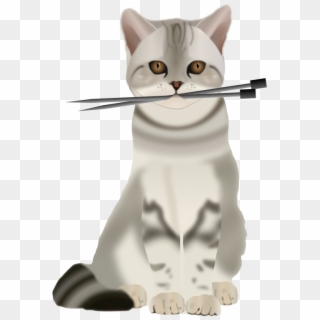 Medium Image Clipart