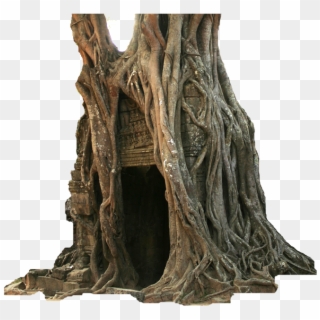 Old Hollow Tree Clipart