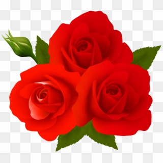 Rose Flower Images Free Download Png Png Www Cliparts - Gulab Ka Phool Download New Transparent Png
