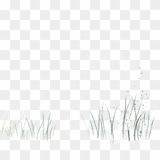 White Black Pattern Green Grass 2478*2146 Transprent - Beyaz Çimen Png Clipart
