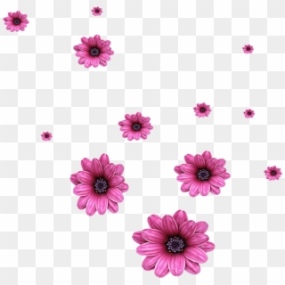 Flower Computer File Flowers Transprent Png Free - Scattered Flowers Png Clipart
