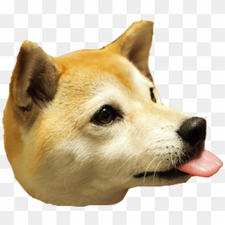 Dog Head Png Clipart