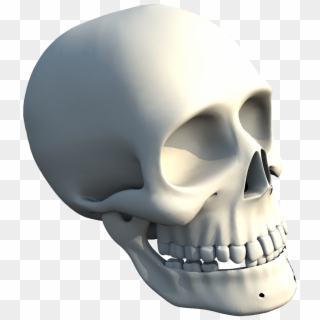 The Skull Of Human Clipart
