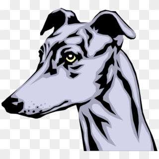 Vector Illustration Of Greyhound Race Dog Head - Greyhound Dog Clip Art - Png Download