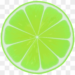 Medium Image - Sliced Lime Clip Art - Png Download