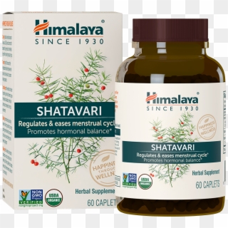 Organic Shatavari - Garcinia Cambogia Tablets Himalaya Clipart