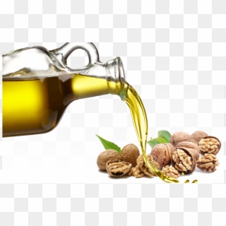 Walnut - Anointing Oil Png Clipart