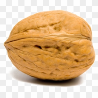 Walnut Transparent Images - Walnut In French Clipart