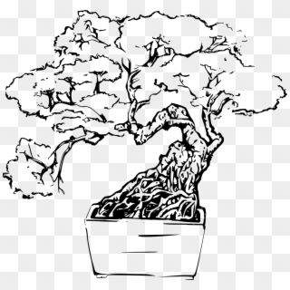 Download Png - Bonsai Tree Black And White Clipart