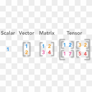 Src - Linear Algebra Vector Clipart (#1892931) - PikPng